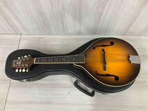 【ジャンク】 Kentucky Mandolin KM-180S フラットマンドリン ケンタッキー ハードケース付_画像2