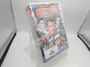 DVD カリブの反乱＜冒険映画傑作コレクション＞(DVD10枚組)