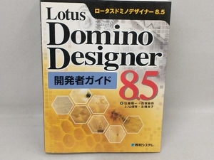 Lotus Domino Designer 8.5開発者ガイド 佐藤権一