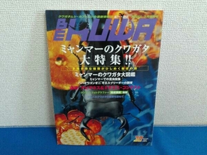 月刊むし　2009年3月増刊号　ビークワ　ミャンマーのクワガタ大特集