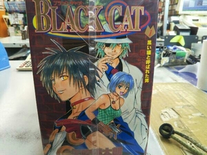 全巻セット BLACK CAT 矢吹健太朗