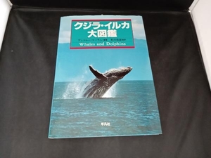 ジャンク クジラ・イルカ大図鑑 アンソニー・R.マーティン