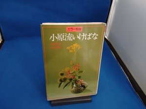 小原流いけばな カラー独習 小原豊雲