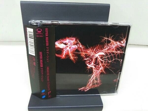 SUPER BEAVER CD グラデーション(初回生産限定盤B)(DVD付)