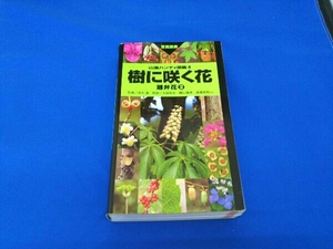 樹に咲く花　離弁花２ （山渓ハンディ図鑑　４） 茂木透／写真　高橋秀男／監修　勝山輝男／監修　石井英美／〔ほか〕解説