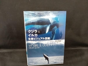 クジラ&イルカ生態ビジュアル図鑑 水口博也