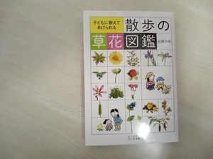 散歩の草花図鑑 岩槻秀明