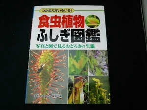 食虫植物ふしぎ図鑑 柴田千晶