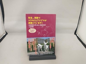 先生、洞窟でコウモリとアナグマが同居しています! 小林朋道