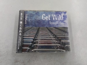 帯あり TM NETWORK CD GET WILD SONG MAFIA