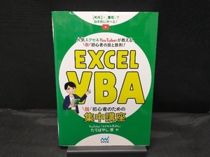 Excel VBA 脱初心者のための集中講座 たてばやし淳