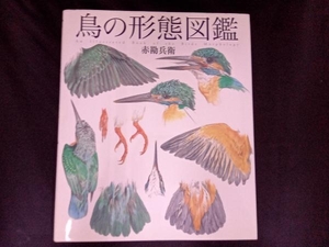 鳥の形態図鑑 赤勘兵衛