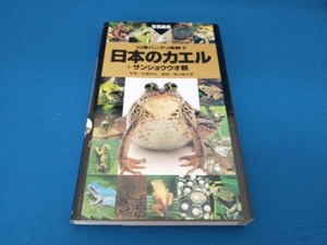 日本のカエル+サンショウウオ類 松橋利光