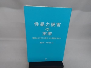 性暴力被害の実際 齋藤梓