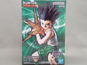 バンプレスト ゴン=フリークス HUNTER×HUNTER VIBRATION STARS ハンターハンター