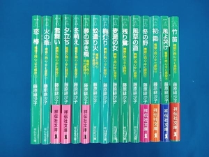 藤原緋沙子　橋廻り同心・平七郎控シリーズ　1-15巻セット