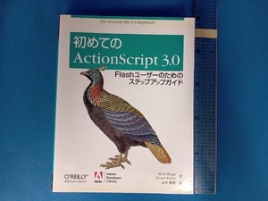 初めてのActionScript 3.0 リッチシュープ