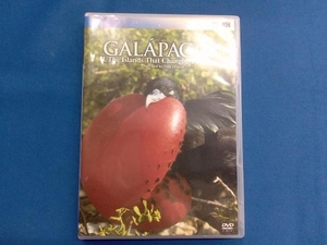 DVD ガラパゴス Ⅱ.進化論が生まれた島