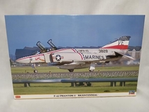 プラモデル ハセガワ 1/48 F-4J ファントムII バイセン_画像1