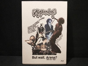 初回限定盤 (Blu-ray) (取) ドキュメンタリーブック [Alexandros] Blu-ray/But wait. Arena? 2022 Tour -Final- 23/6/7発売 【オリコン加盟店】