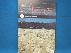 アマゾン大図鑑(VOL.3) 松坂實