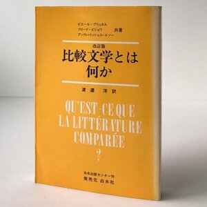 比較文学とは何か 改訂版 ピエール・ブリュネル ほか共著 ; 渡辺洋 訳 白水出版センター