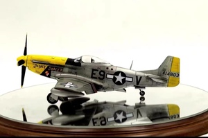 Art hand Auction 1/48 American P51D assembled and painted finished product, plastic model, aircraft, Finished product