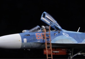 minibase 1/48 Russia Air Force SU-33 FLANKER D construction painted final product 