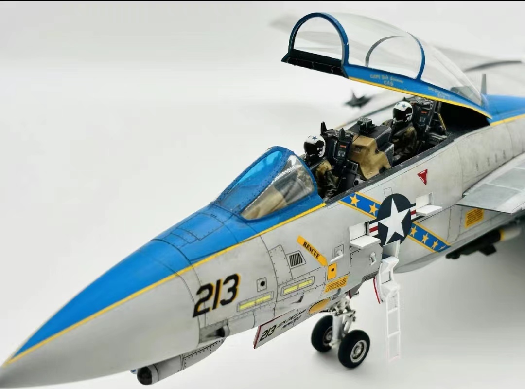 1/48 アメリカ空軍 グラマン F-14D トムキャット 組立塗装済完成品, プラモデル, 航空機, 完成品