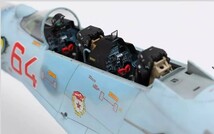 1/48 ロシア空軍 Su-27UB 組立塗装済完成品_画像4