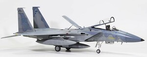 Art hand Auction 1/48 アメリカ空軍 F-15C 組立塗装済完成品, プラモデル, 航空機, 完成品