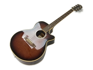 Pro Martin EA500W WRS アコースティックギター エレアコ プロマーチン 中古 N8443582