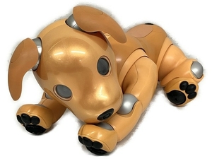 【2020年限定カラーモデル】SONY aibo ERS-1000 キャラメルエディション バーチャルペット 犬型ロボット アイボ 中古 T8483027