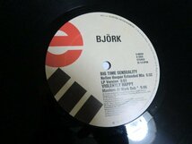 (A)【何点でも同送料 2LP/レコード】ビョーク / Bjork / Big Time Sensuality / US 12/2枚組_画像3