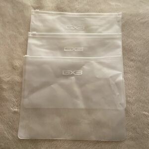 GX3 ロゴ入り　ケース　3枚