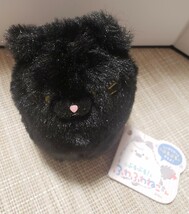 新品・未使用 ぶるぶる！動く ふわふわ ねこさん 猫 ネコ くろ 黒 ぬいぐるみ マスコット_画像3