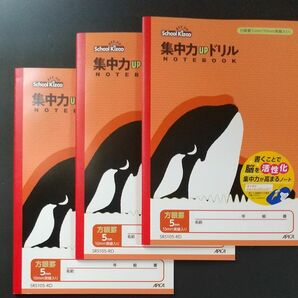 集中力ＵＰドリル ５ｍｍ方眼罫シャチ 学習帳 セミB5サイズアピカ　56-SRS105-RD 3冊