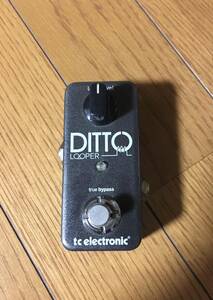 tc electronic DITTO LOOPER ルーパー 『動作確認済み』　『元箱付き』