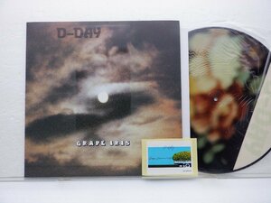 D-Day「Grape Iris」LP（12インチ）/Balcony Records(BOYS 5)/Electronic