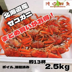 北海道産　メスズワイ蟹13杯　内子も外子も通にはわかる高級品！セコガニ　セイコガニ　香箱ガニ　バルダイ種 ボイル セコガニ セイコガニ