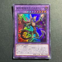 A012】捕食植物ドラゴスタペリア SR 遊戯王 デュエルモンスターズ TCG トレカ カード_画像1