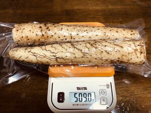 栃木県産 自然薯 500g 真空パック 現品特価