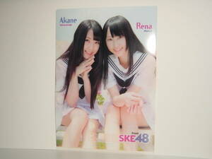 SKE48 Matsui Rena & высота . Akira звук *B5 двусторонний прозрачный файл * Young животное специальный дополнение 