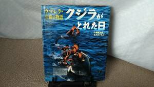 【送料無料／匿名配送】『クジラがとれた日～ラマレラ・生命の物語』小島曠太郎/えがみともこ/ポプラ社///