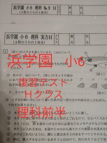 浜学園　復習テスト　小6　Hクラス　2021年度　理科前半