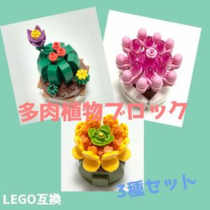 LEGO互換 作って楽しいブロック　手乗りサボテン&多肉植物３種類セット No.3