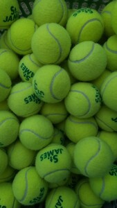 ダンロップ　セントジェーム2ヶ月使用（2023年11月～12月）80球　中古　テニスボール