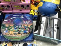 【C725】Disney ディズニーグッズ 大量 まとめ売り 39点セット 新品〜中古まで 食器 フィギュア ぬいぐるみ タオルなど_画像5