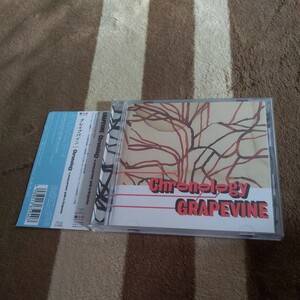 ベストアルバム CD GRAPEVINE「Chronology a young persons’ guide to Grapevine」グレイプバイン