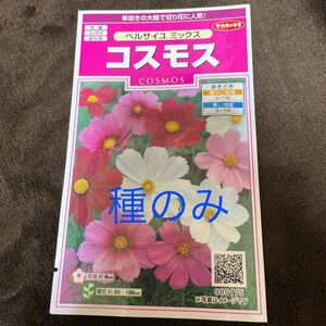 コスモスの種　30粒　ベルサイユミックス　赤　ピンク　白　秋桜